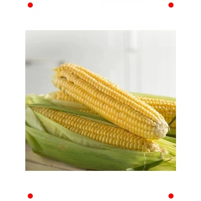 Doğal Tatlı Mısır Tohumu - Haşlamalık