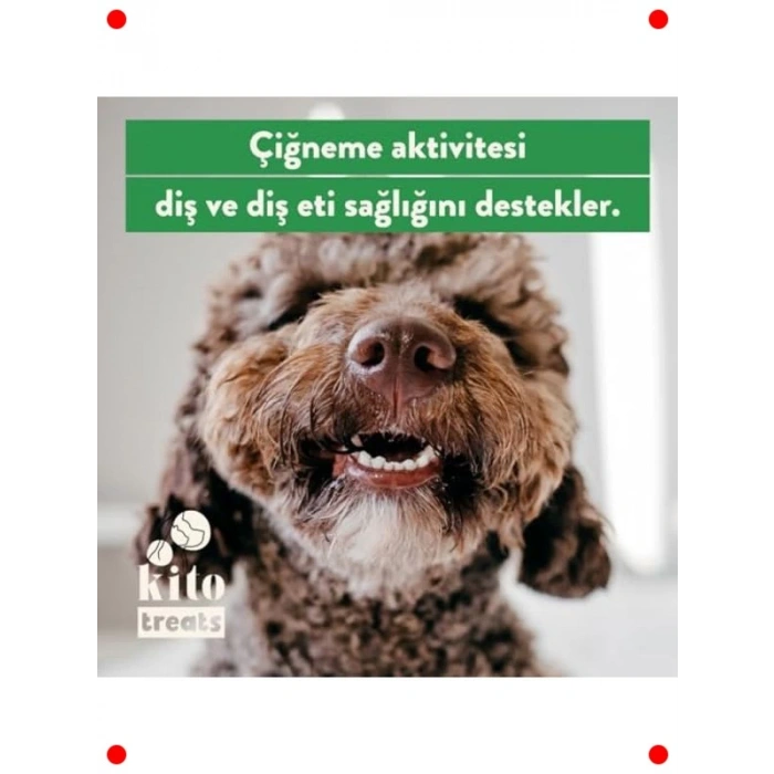 Doğal Tavuk Boyun Köpek Çiğnemeliği - Glutensiz, 100g