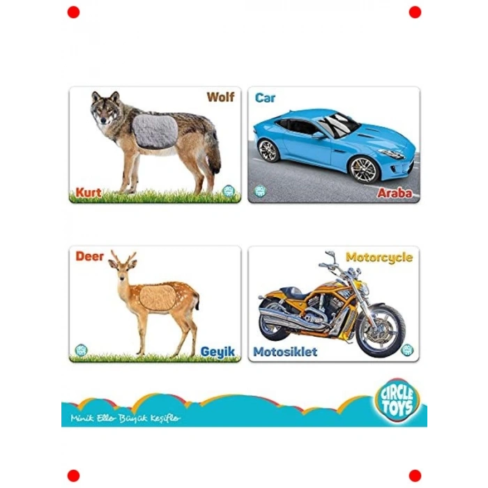 Dokun Hisset Orman Hayvanları ve Araçlar Kartları