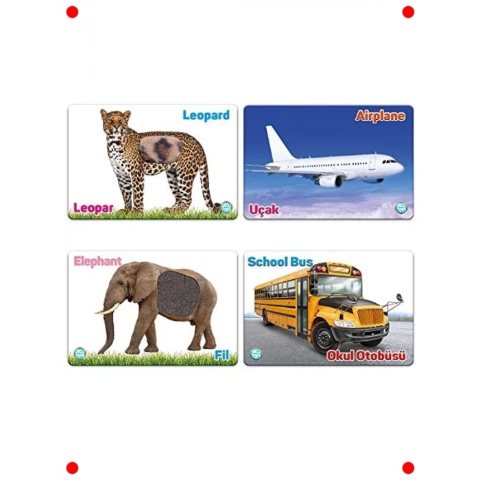 Dokun Hisset Orman Hayvanları ve Araçlar Kartları