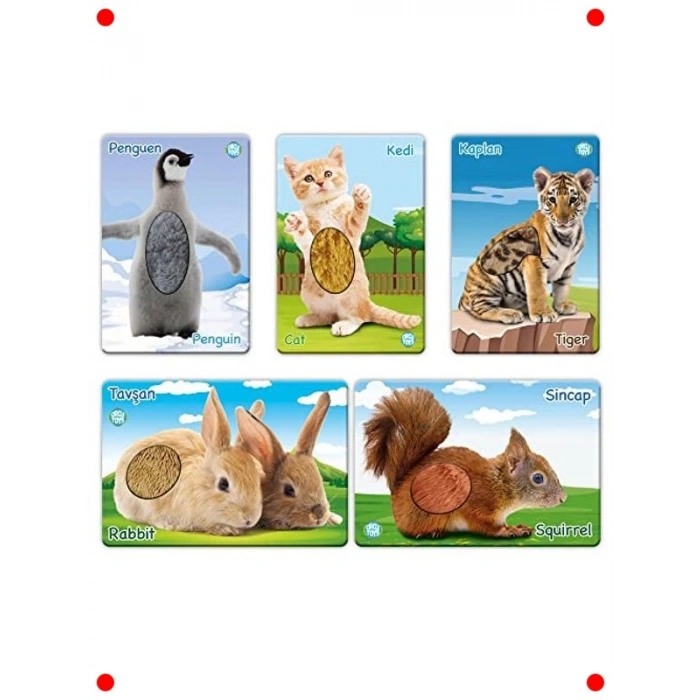 Dokun Hisset Yavru Hayvanlar Temalı Kumaş Kitap