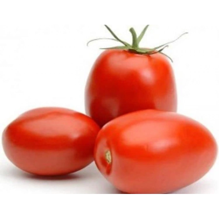 Domates Rio Tohumu - Aksel 10 gr