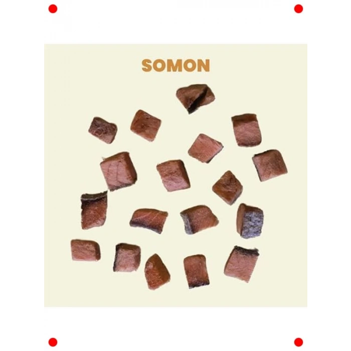 Dondurularak Kurutulmuş Somon Köpek Ödülü 30 gr