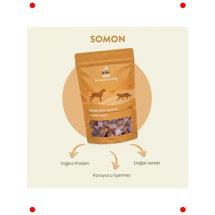 Dondurularak Kurutulmuş Somon Köpek Ödülü 30 gr
