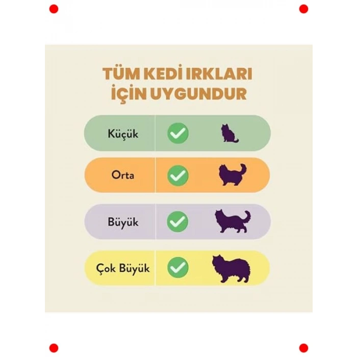 Dondurularak Kurutulmuş Somon Köpek Ödülü 30 gr