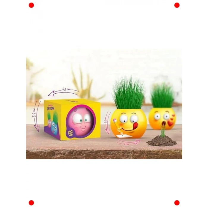 Eğitici Emoji Çim Adam Yetiştirme Seti (6lı)