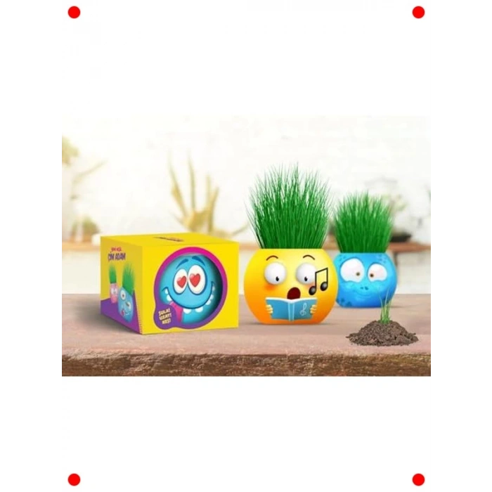 Eğitici Emoji Çim Adam Yetiştirme Seti (6lı)