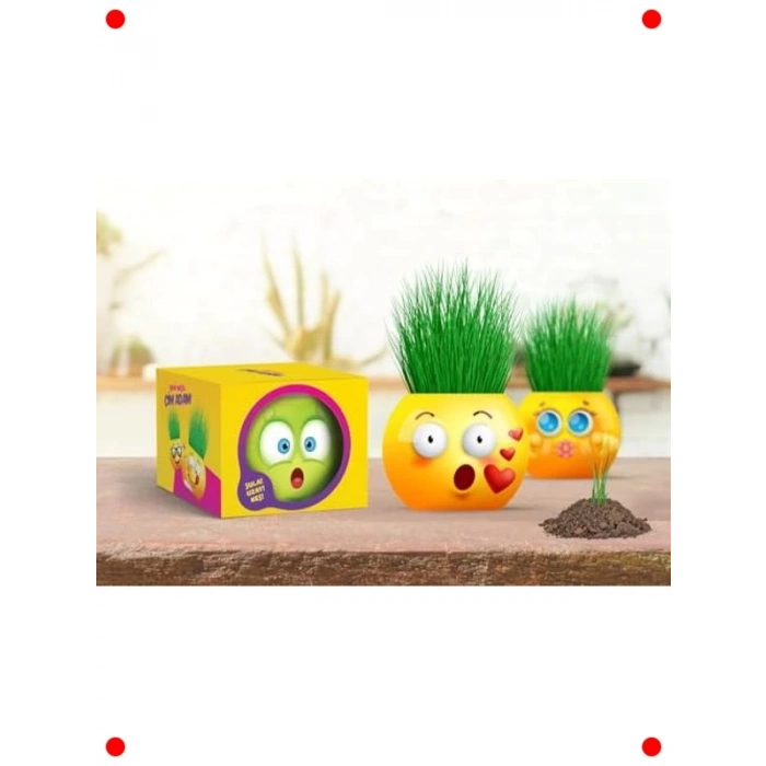 Eğitici Emoji Çim Adam Yetiştirme Seti (6lı)