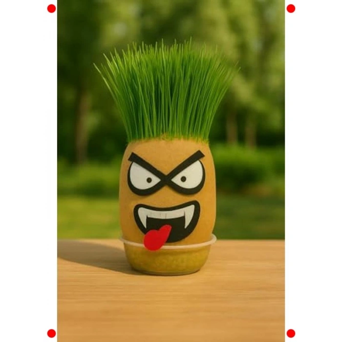 Eğlenceli Çim Kafa Yetiştirme Seti