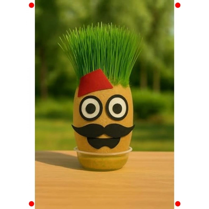 Eğlenceli Çim Kafa Yetiştirme Seti