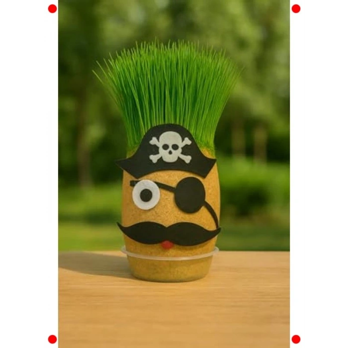 Eğlenceli Çim Kafa Yetiştirme Seti