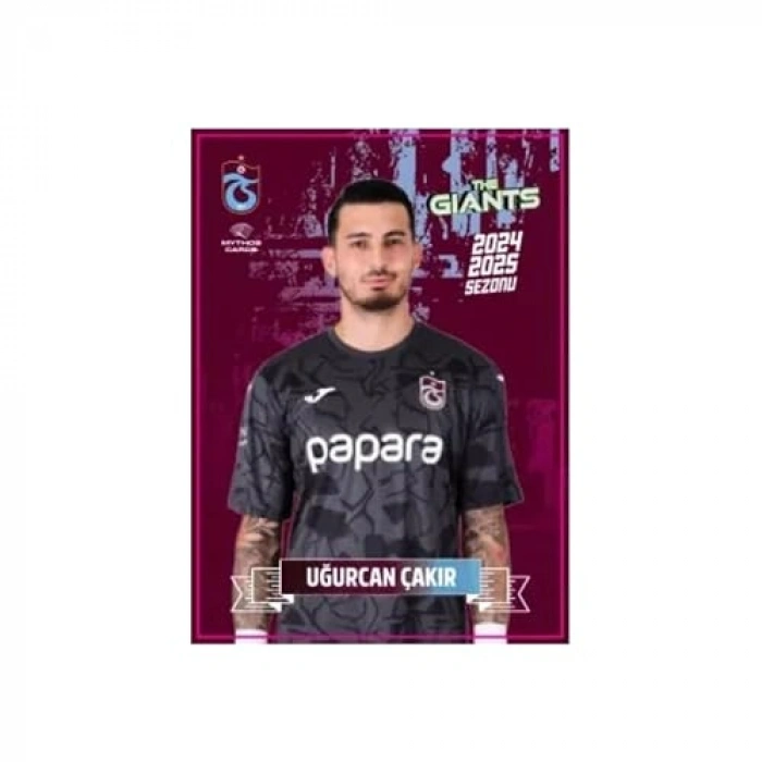 Eğlenceli Dev Poster ve Çıkartma Seti, Tasarım ile