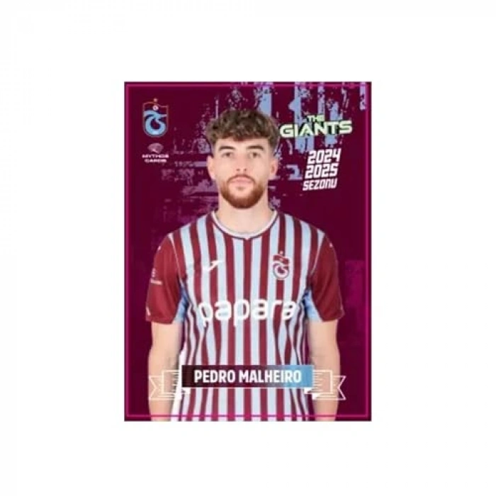 Eğlenceli Dev Poster ve Çıkartma Seti, Tasarım ile