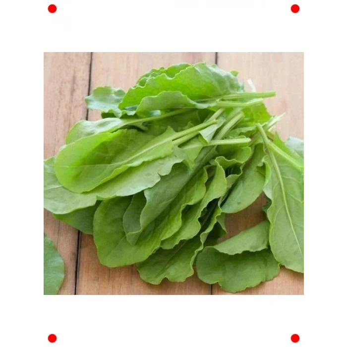 Ekşi Kuzukulağı Tohumu - 3 Gram