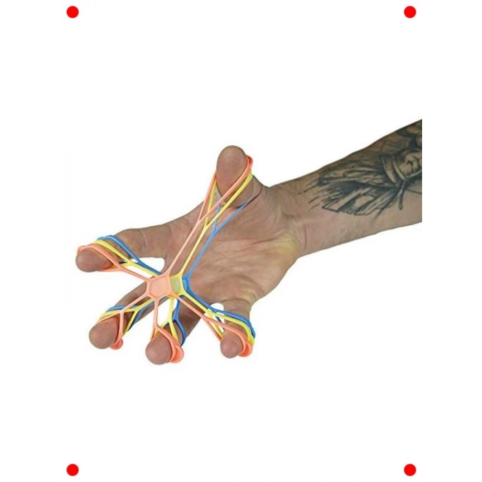 El ve Ön Kol Gücü Geliştirme Egzersiz Seti