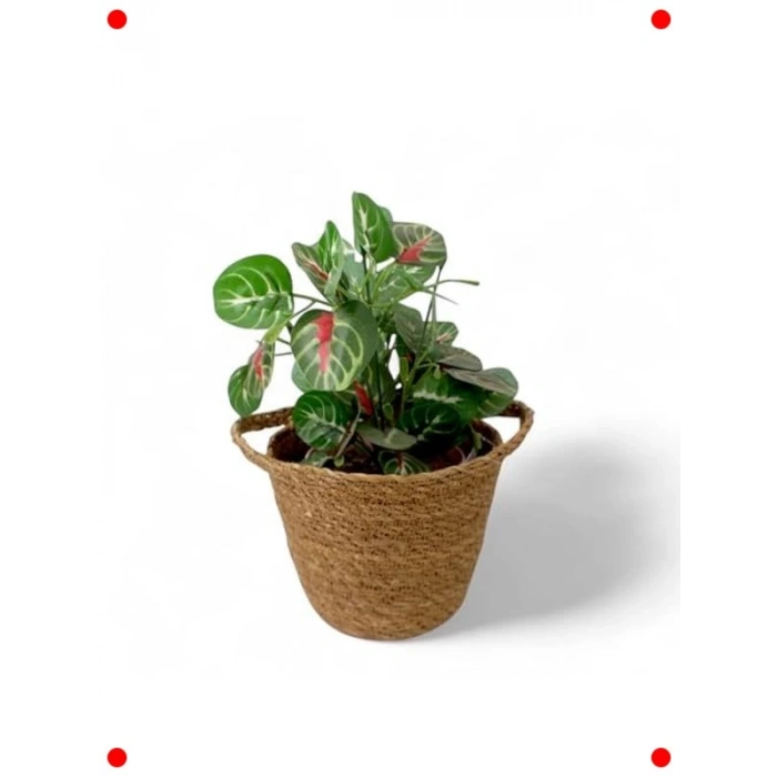 El Yapımı Çift Kulplu Hasır Saksılık (17cm)