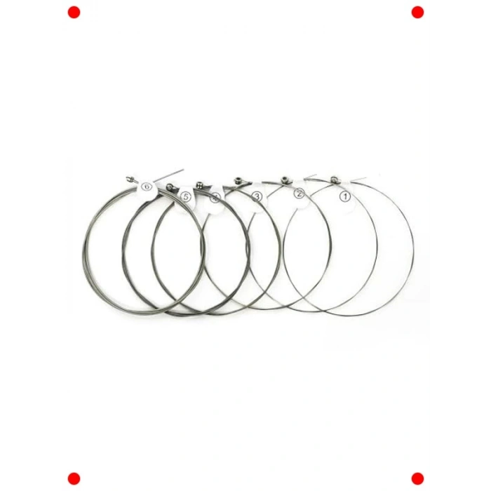 Elektro Gitar Teli Seti (09-42)