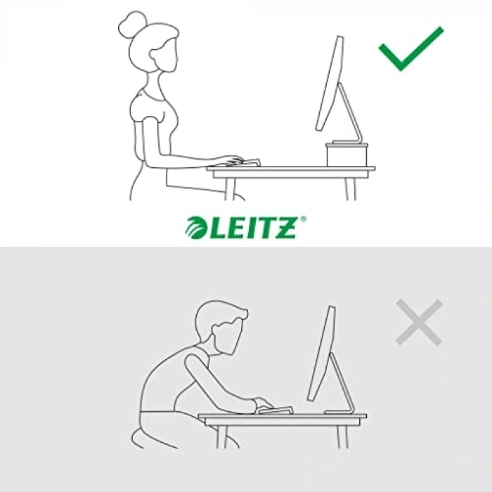 Ergo Monitör Standı
