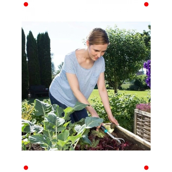 Ergonomik Comfort El Beli