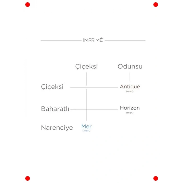 Erkek Mini Parfüm Deneme Seti 3x2ml Özel Kokular