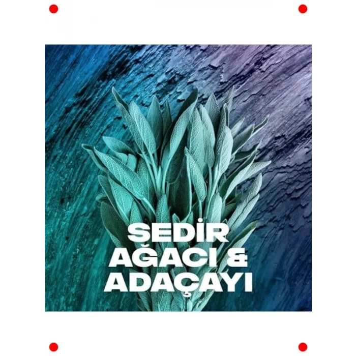 Erkek Vücut Spreyi Apollo 48 Saat Etkili 150 ml