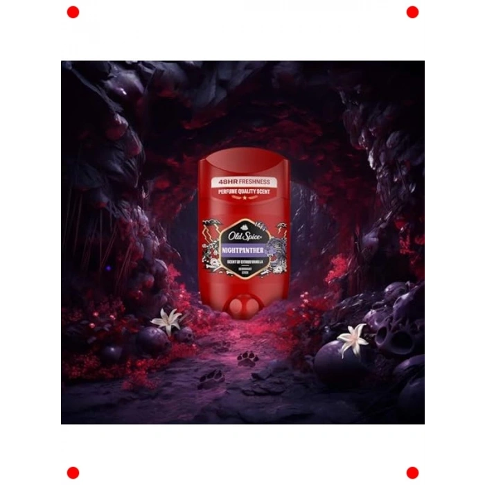 Erkekler İçin Etkili Koku Koruyucu Deodorant Stick 50 ml