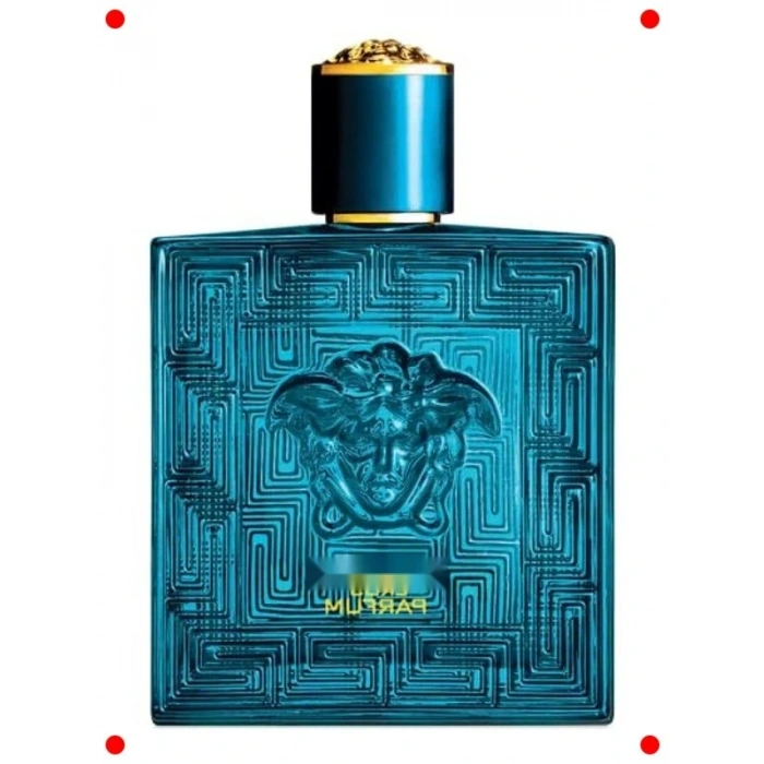 Etkileyici Erkek Parfümü - 100 ml