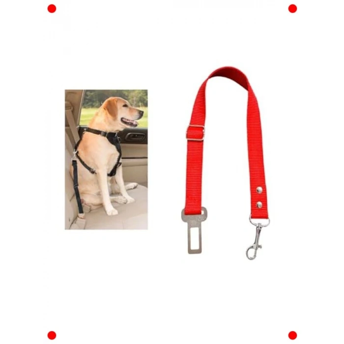 Evcil Hayvan Araç Emniyet Kemeri (Kırmızı)