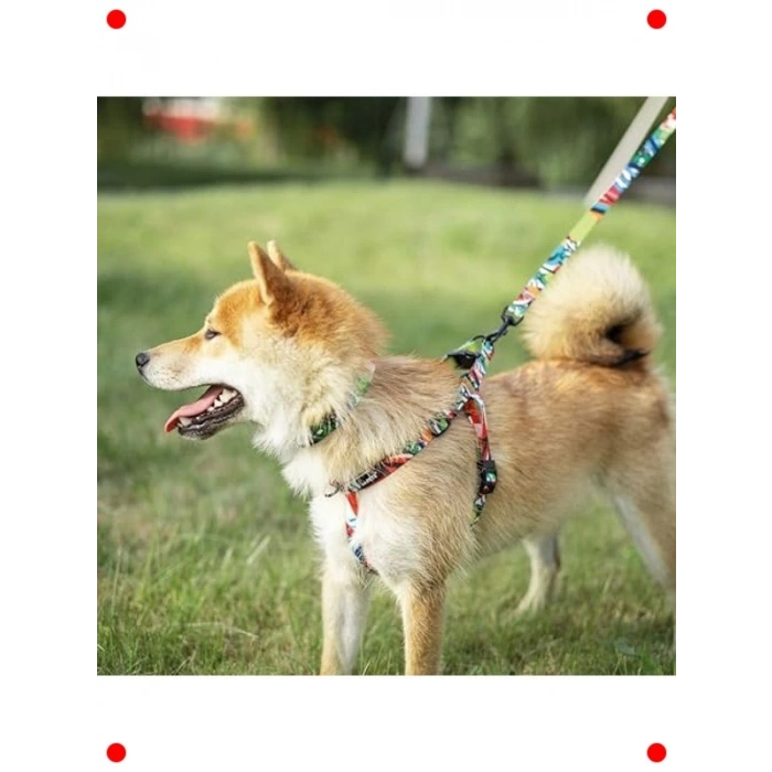 Evcil Hayvan Konforlu Ayarlanabilir Göğüs Tasması (M)