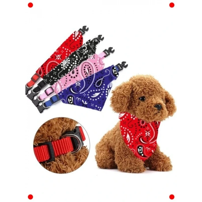 Evcil Hayvan Köpek Boyun Tasması & Fular - Kırmızı