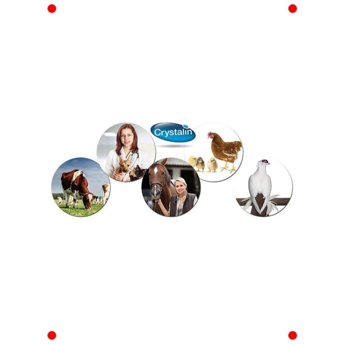 Evcil Hayvan Yara Bakım Solüsyonu 250 ml