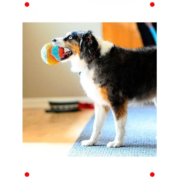 Eve Özel Yumuşak Köpek Oyun Topu – İç Mekan Topu