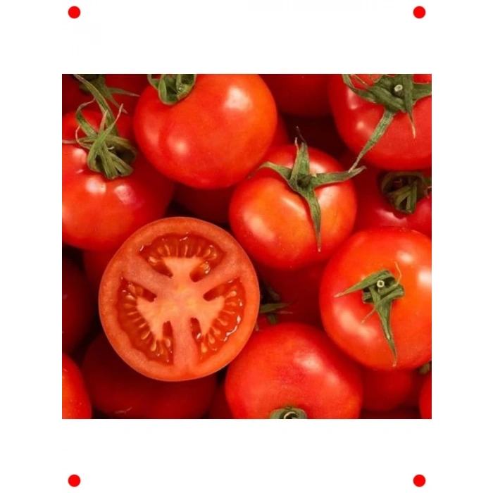 Falcon Bahçelik Domates Tohumu - 3 gr