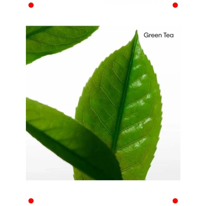 Ferahlatıcı Stick Deodorant - Unisex Koku 75 gr