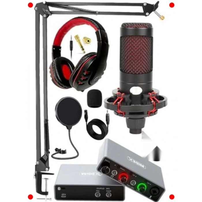 fesyonel Stüdyo Kayıt Seti: Ses Kartı, Mikrofon