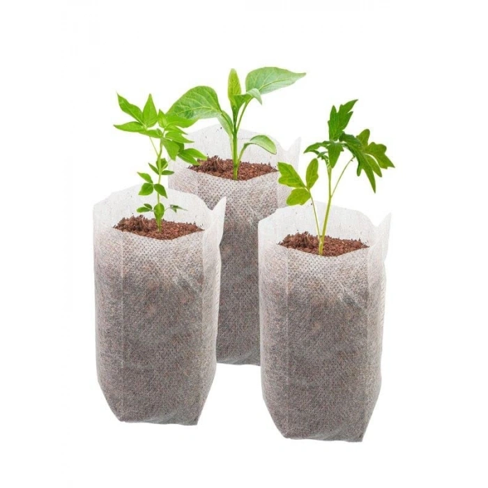 Fide Çimlendirme Torbası 20 Adet ile Kolay Yetiştirme