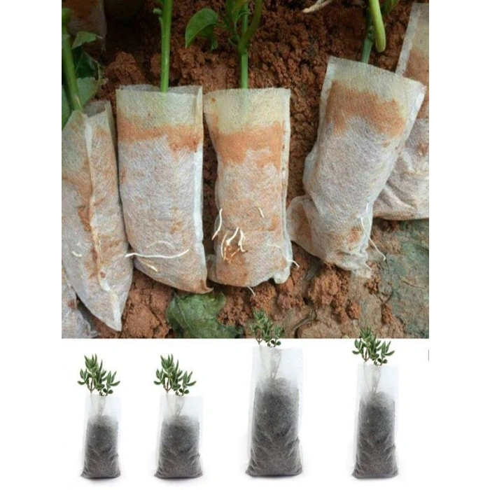 Fide Çimlendirme Torbası 20 Adet ile Kolay Yetiştirme