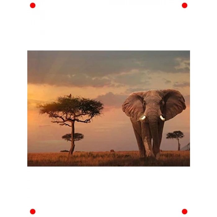 Fil Temalı Puzzle (1000 Parça)