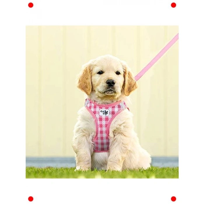 Fileli Puantiyeli Göğüs Tasması Seti - Açık Mavi