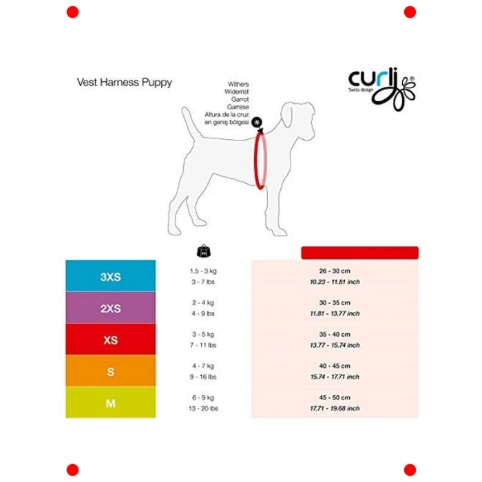 Fileli Puantiyeli Göğüs Tasması Seti - Açık Mavi
