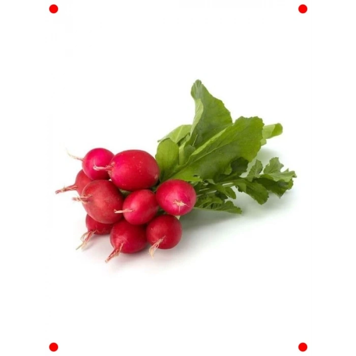 Fındık Turp Tohumu - Çıtır ve Hızlı Hasat