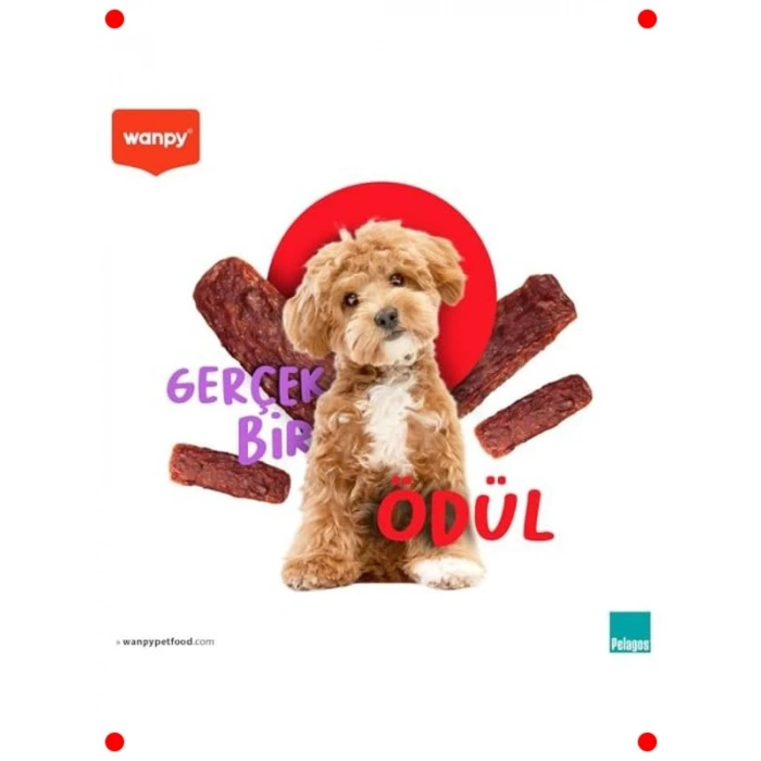 Fırınlanmış Gerçek Ördek Fileto Köpek Ödülü 100g, Küçük Irk