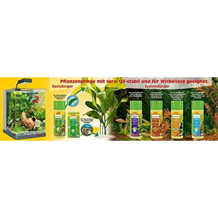 Florenette A (24 Tablet)