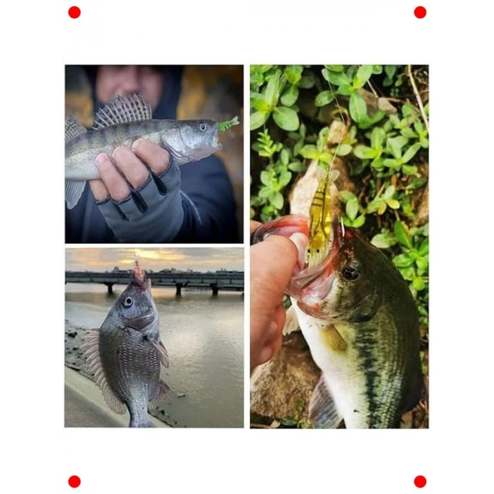 Fosforlu Silikon Karides Olta Yemi Seti - 12 Adet