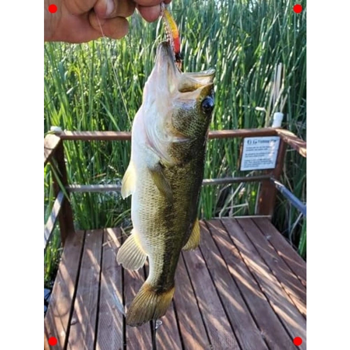 Fosforlu Silikon Karides Yem Seti - 5 Adet, 7.5cm