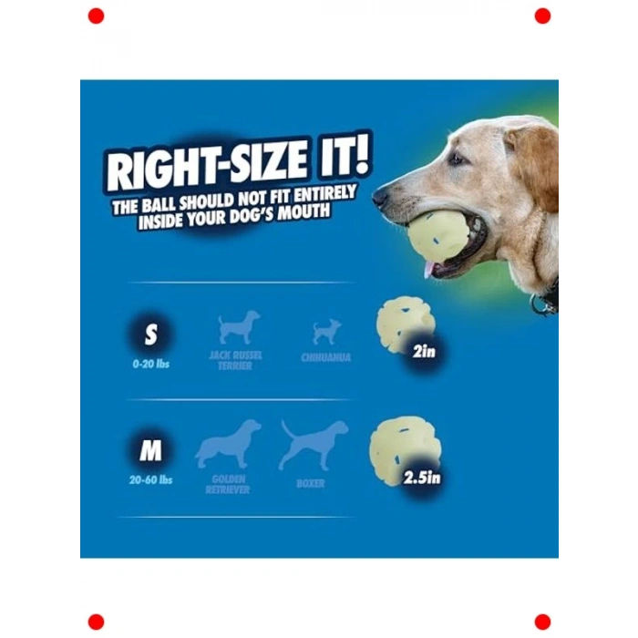 Gece Parlayan At & Getir Köpek Topu, Küçük, 2li Paket