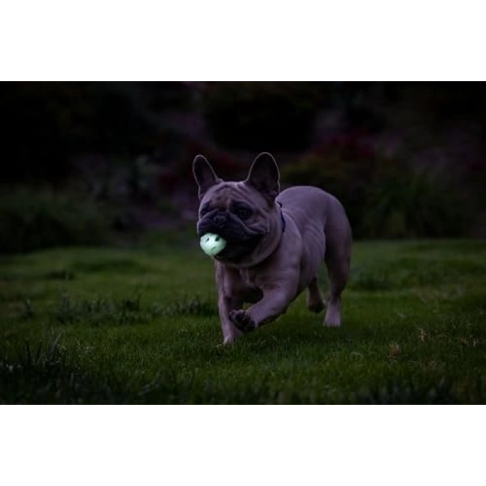 Gece Parlayan At & Getir Topu, 2li Paket