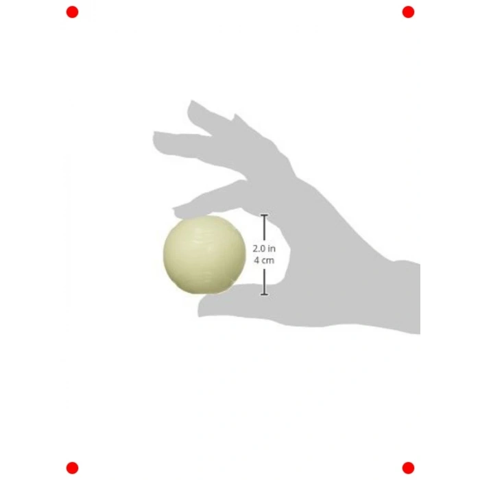 Gece Parlayan Köpek Oyun Topu – Fosforlu & Dayanıklı