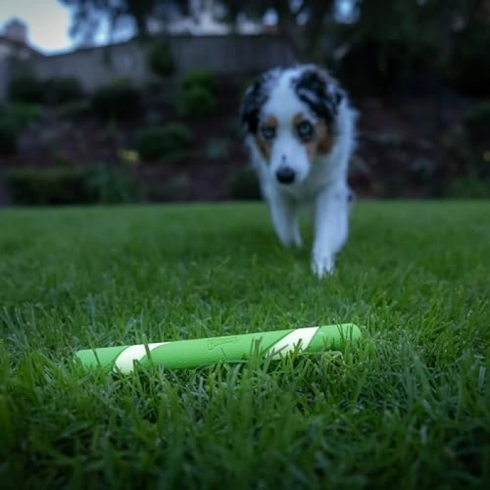 Gece Parlayan Köpek Oyuncağı, Ultra Fetch Stick