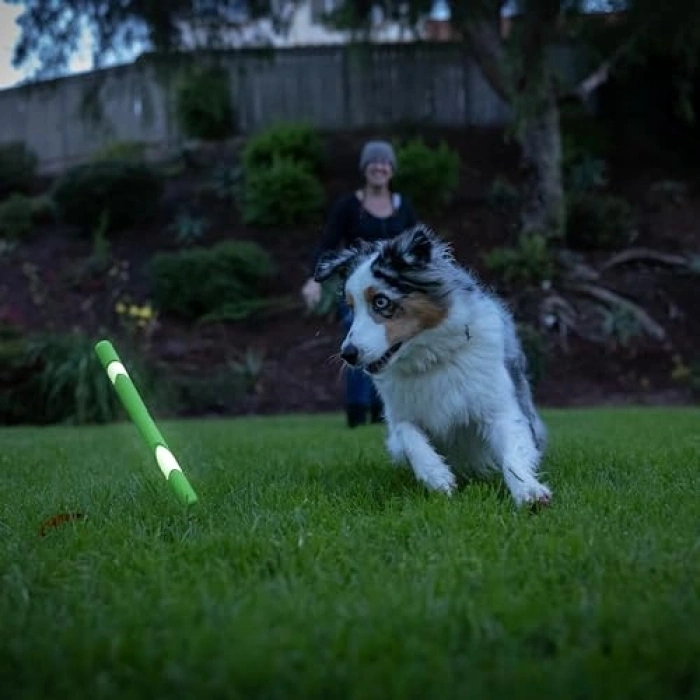 Gece Parlayan Köpek Oyuncağı, Ultra Fetch Stick